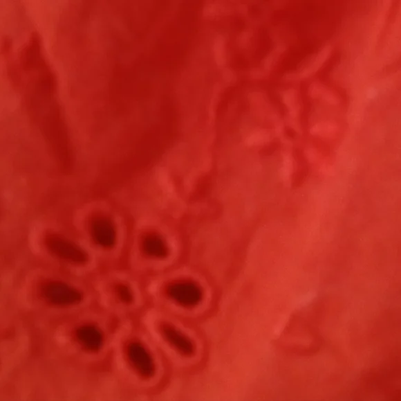 Vibrant Red Ruffle Sleeve Top - Picture 5 of 6